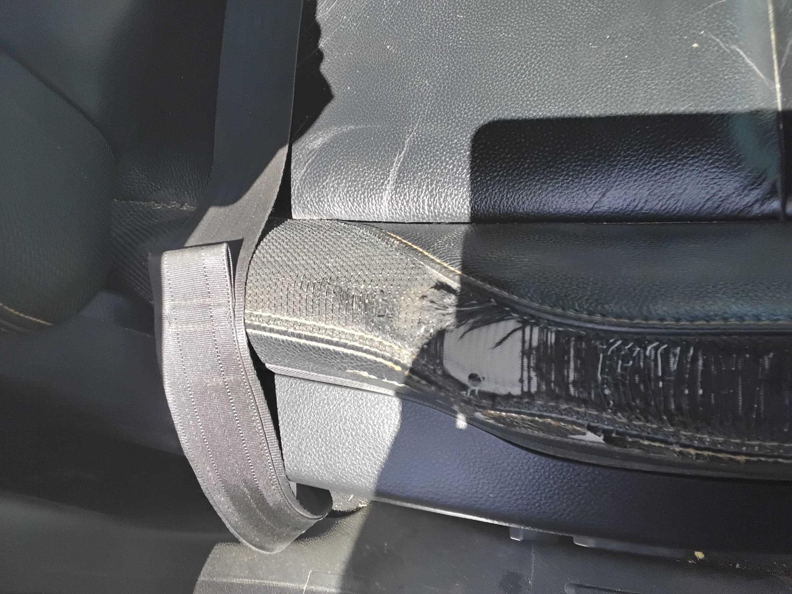 Vehiclexml4170882599458372779.image