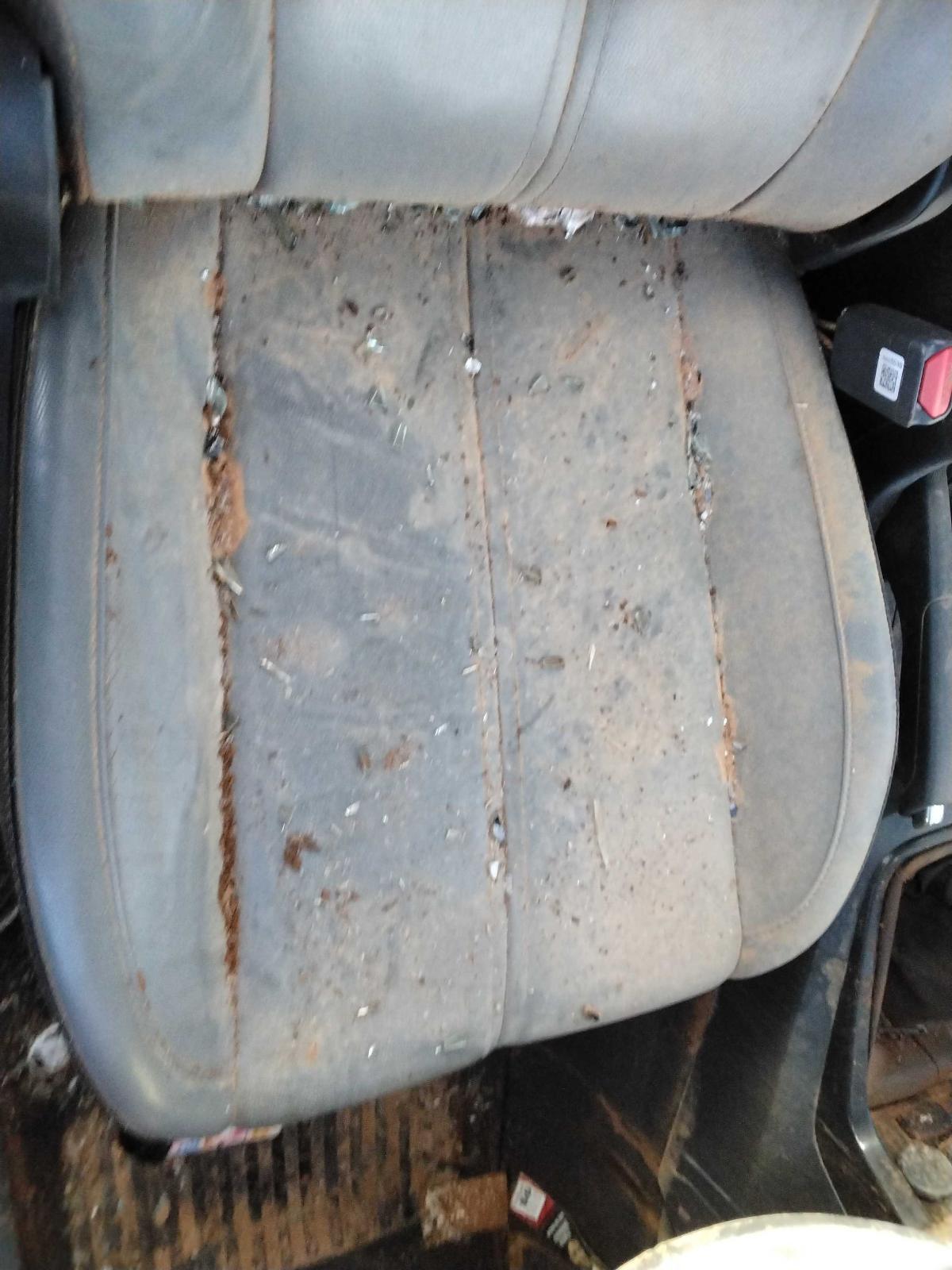Vehiclexml8781149429446225735.image