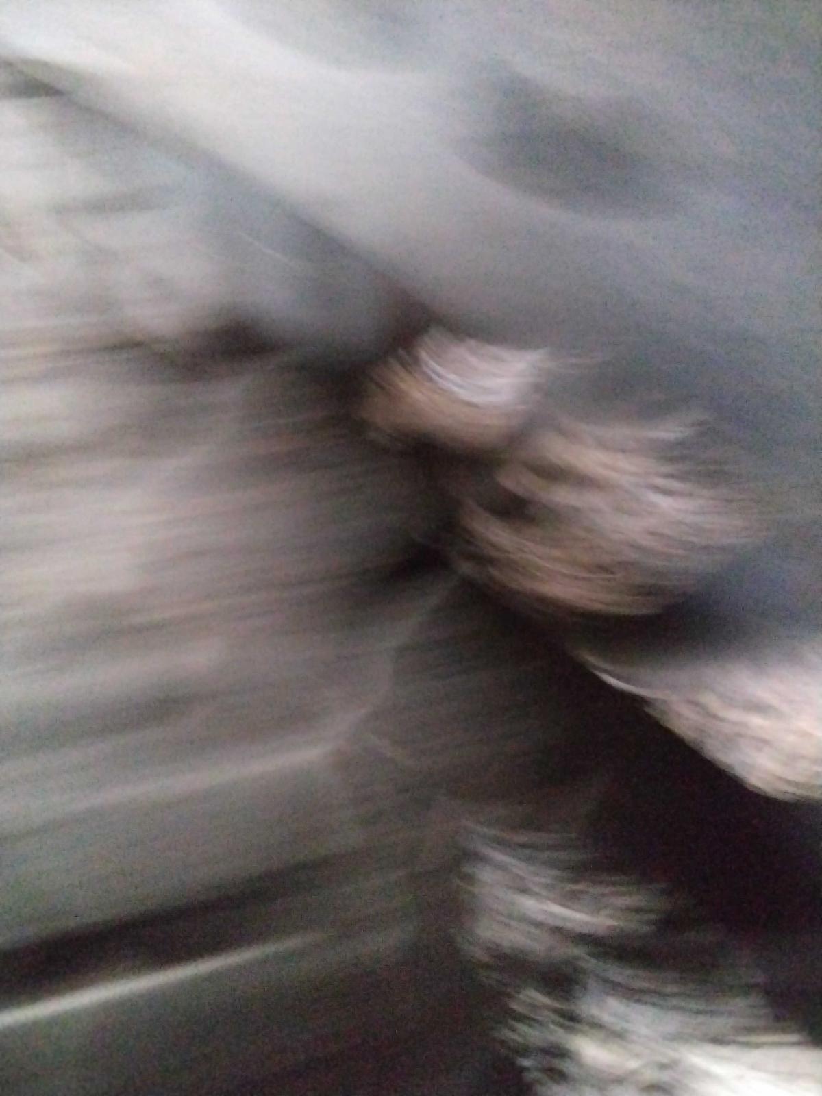 Vehiclexml5833321667772319686.image